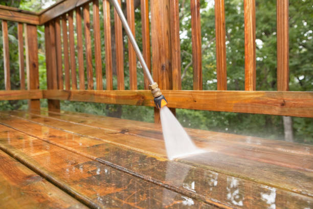 Best Gutter Cleaning  in Guttenberg, IA
