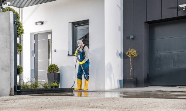 Best Soft Washing  in Guttenberg, IA